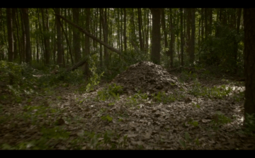 Screen shot 2013-08-07 at 10.56.26 AM