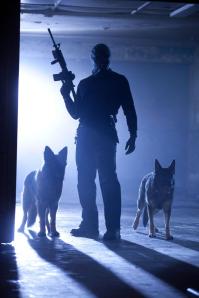 The_Collection-photo2