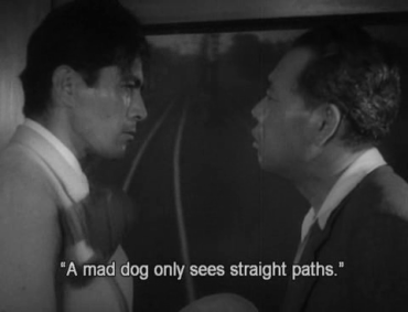 stray dog mad dog kurosawa